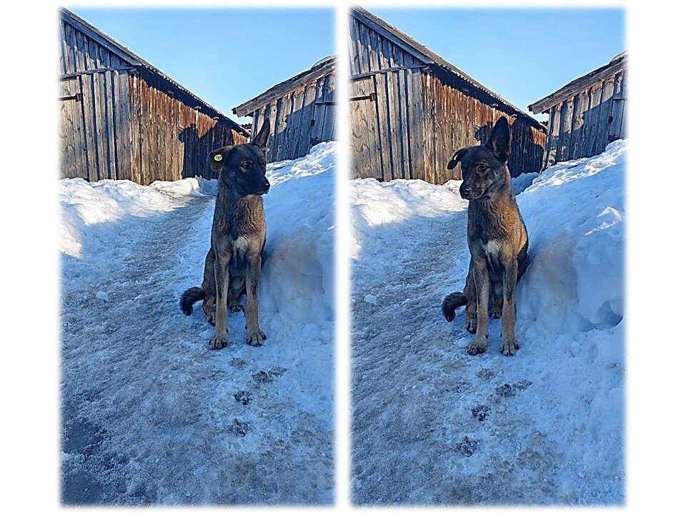 -2