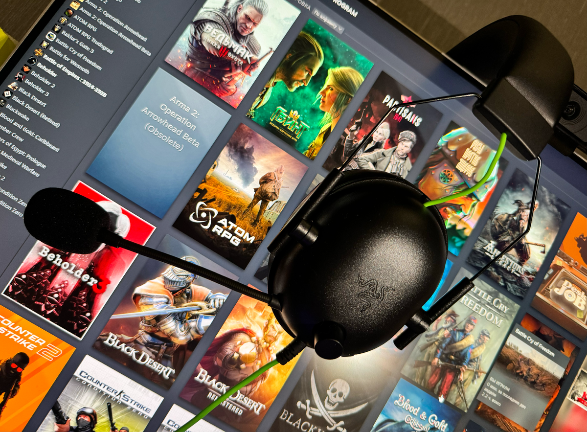 Razer Blackshark V2X. Бюджетные, однако всем необходимым укомплектованы. Цена: 5500 рублей.