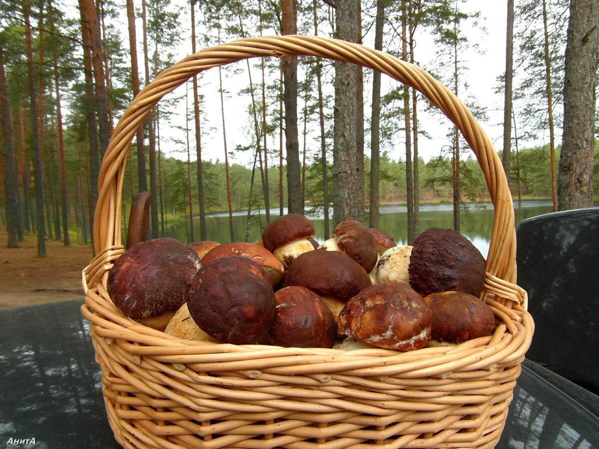 Автор фото Анита