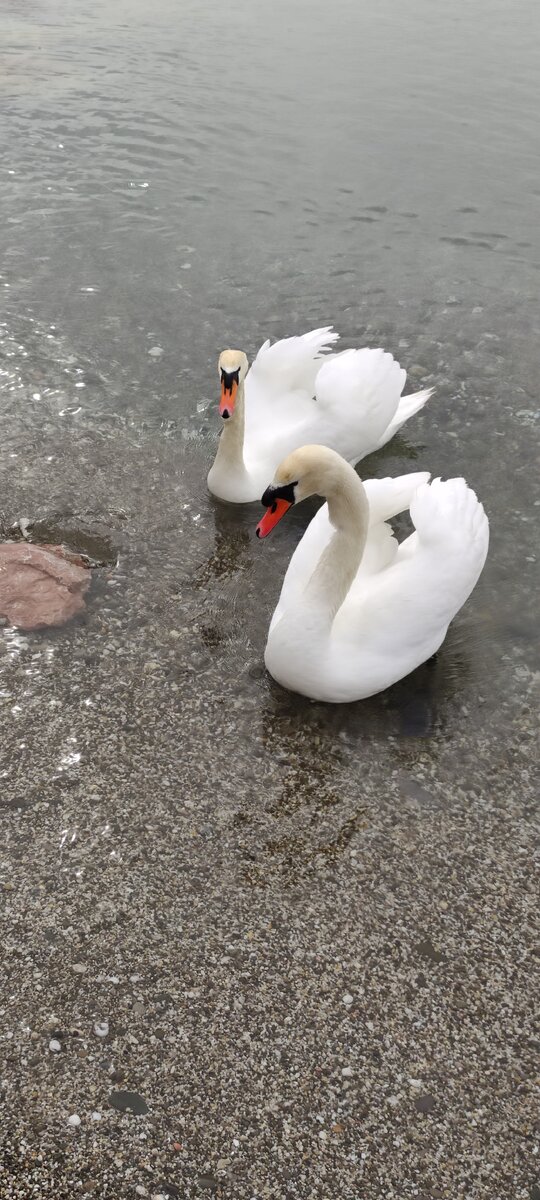 фотография из личного архива