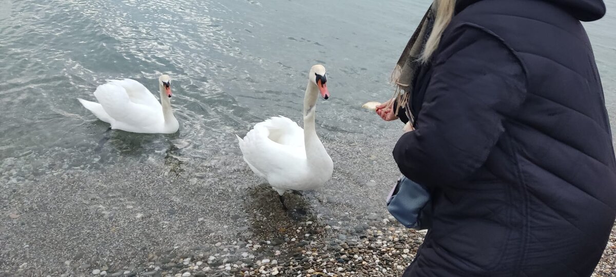 фотография из личного архива 