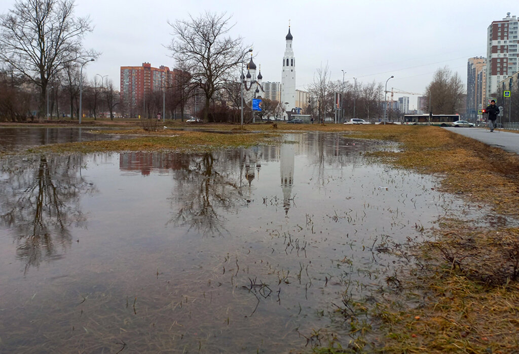 На пробежке. Мой утренний детокс