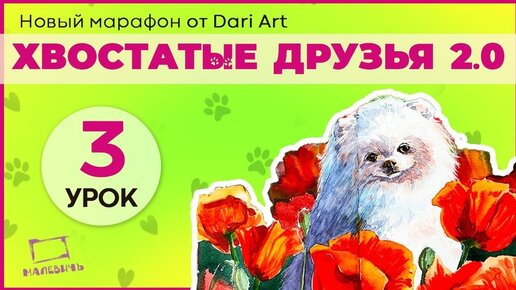 🐶 Встречайте - третий урок марафона 