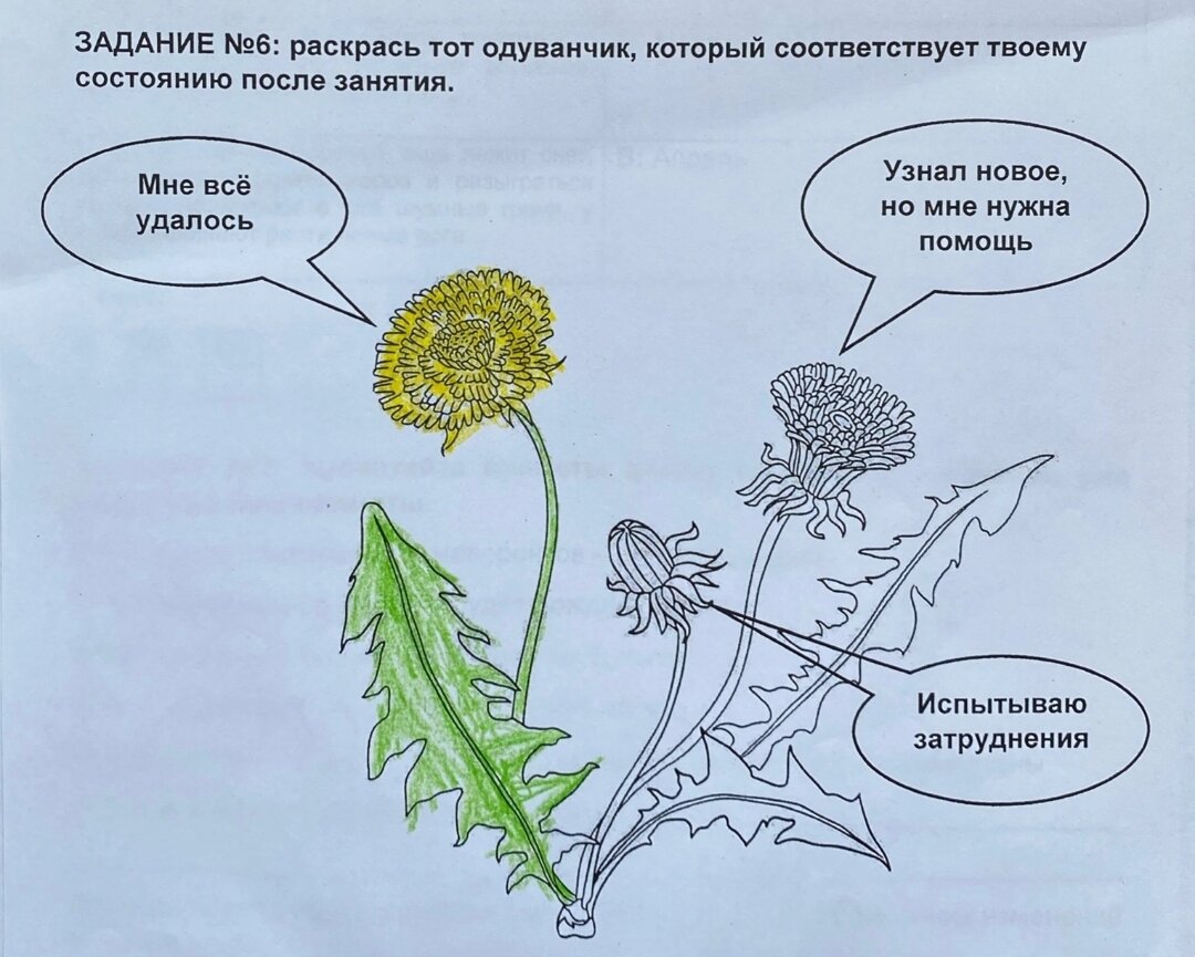 Интересные задания. Рефлексия. | Инклюзивная культура | Дзен