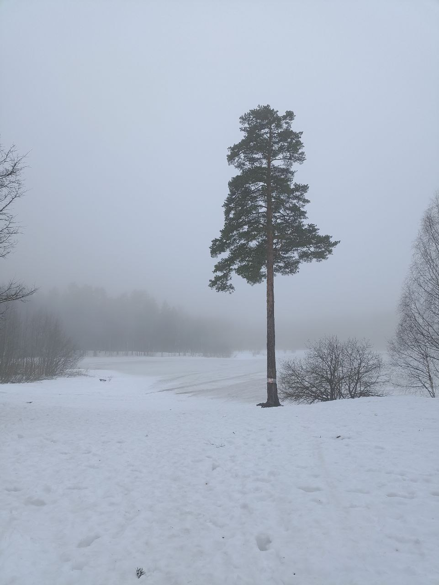 Летом здесь пляж