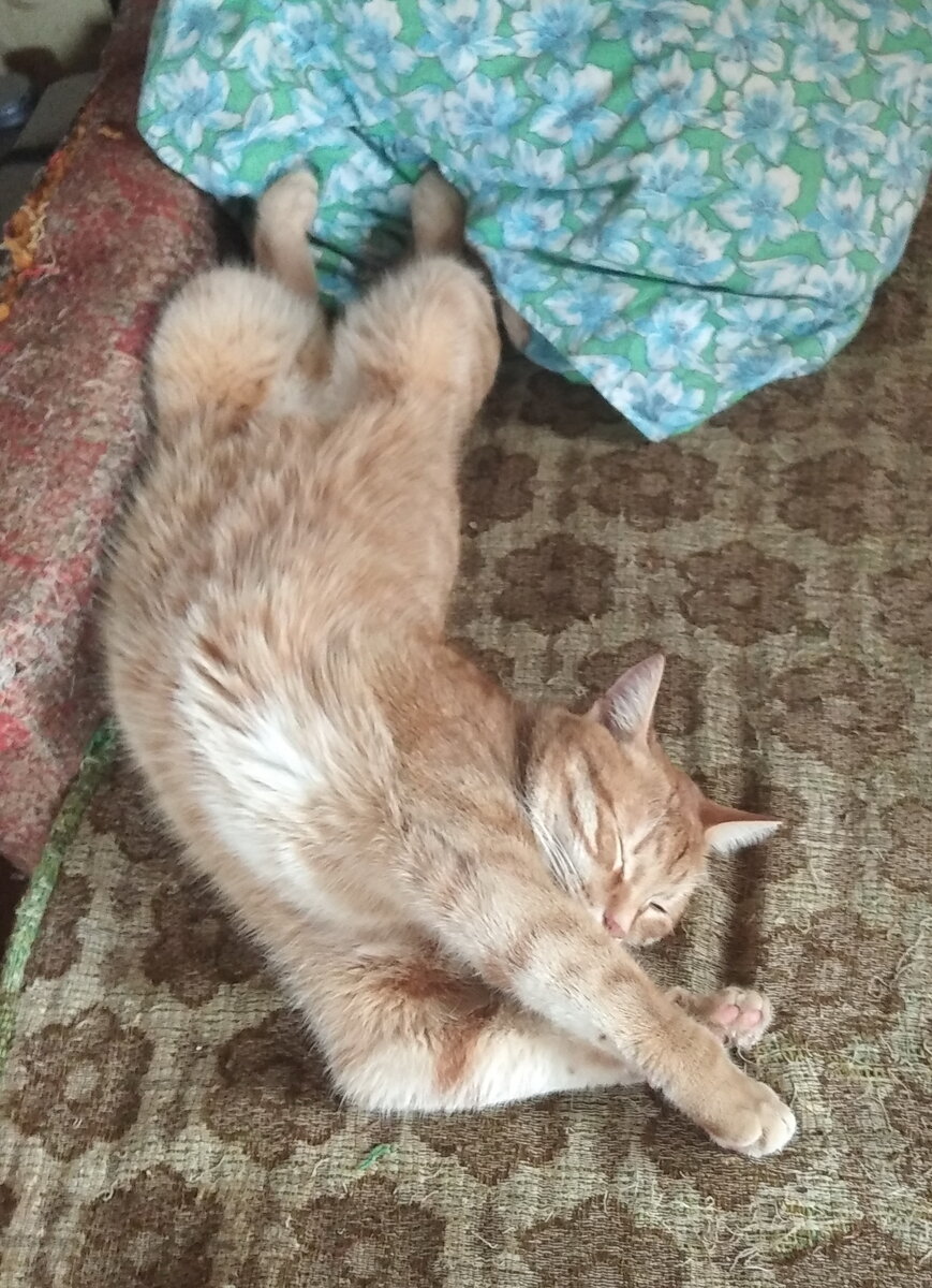 Личное фото. 




