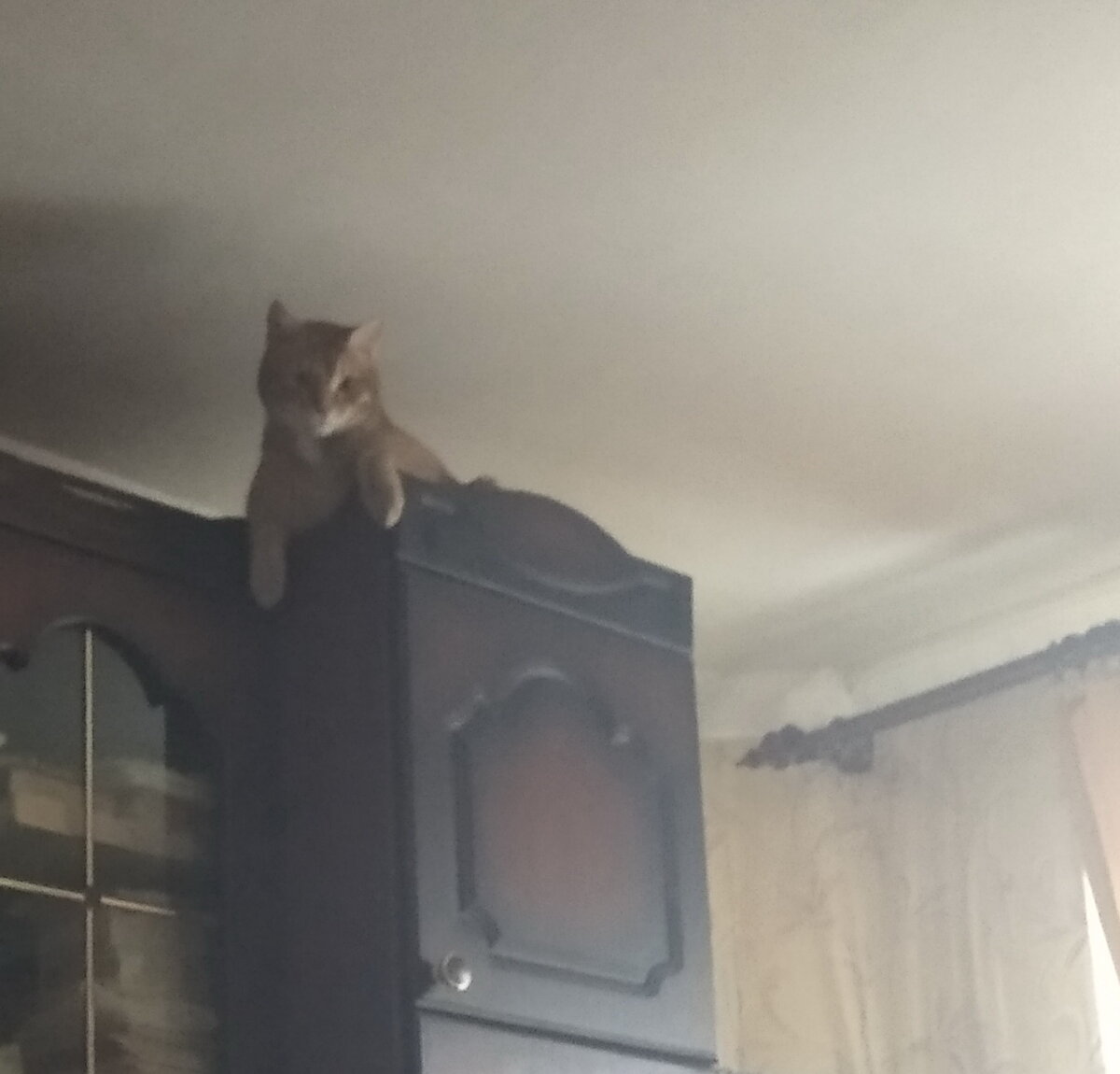 Личное фото.
