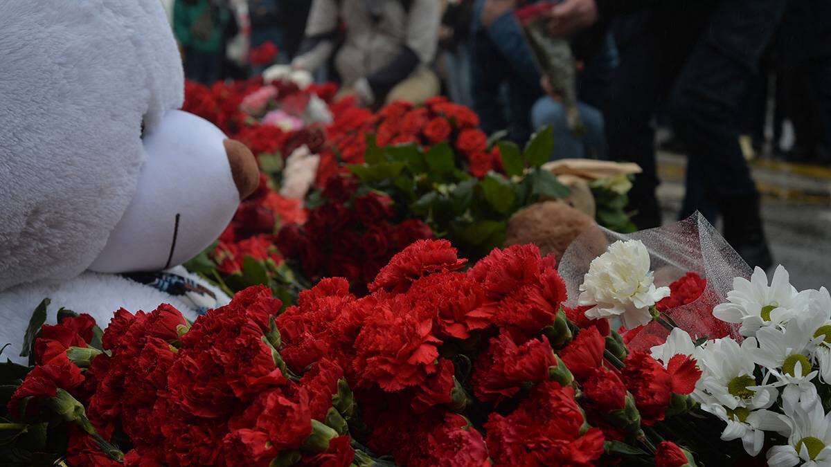    Фото: Александр Кочубей / Вечерняя Москва