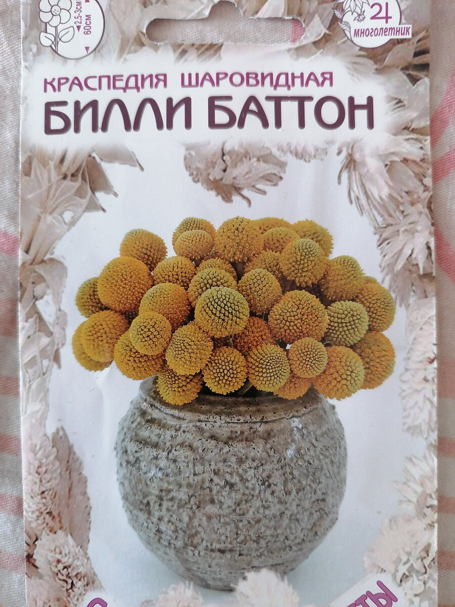 Похожи на сердцевину подсолнуха. 