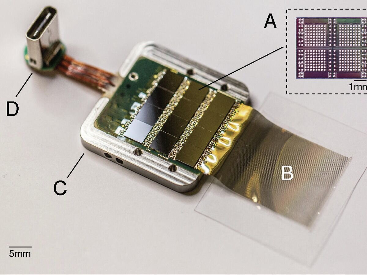    Чипы интерфейса "мозг-компьютер" и набор электродов© Фото : Mask et al / Neuralink