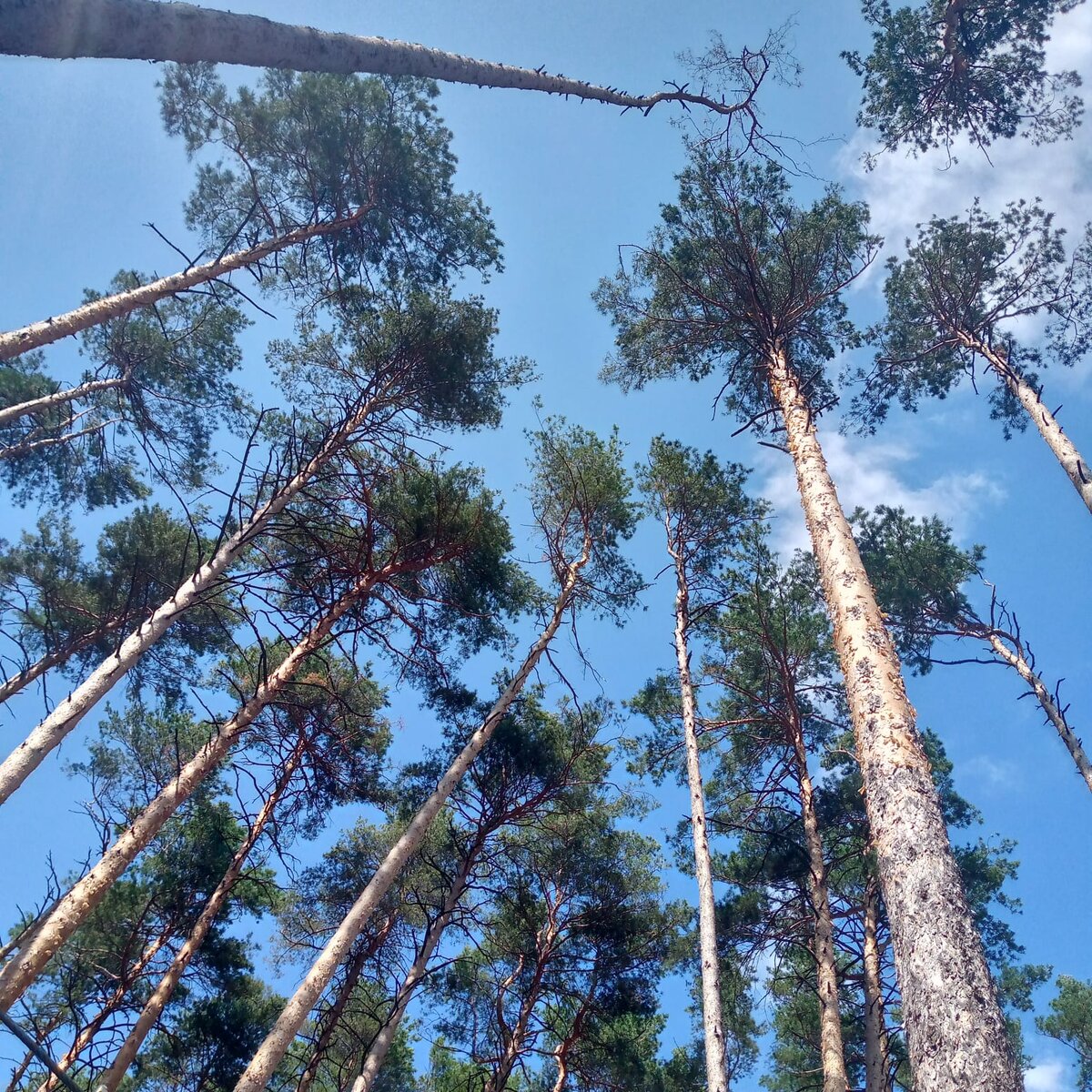 Мемы про тюмень. Чак норрис комиксы. Немного здравого смысла немного терпимости немного чувства юмора. Плохо цитаты. Почему никто не сказал.