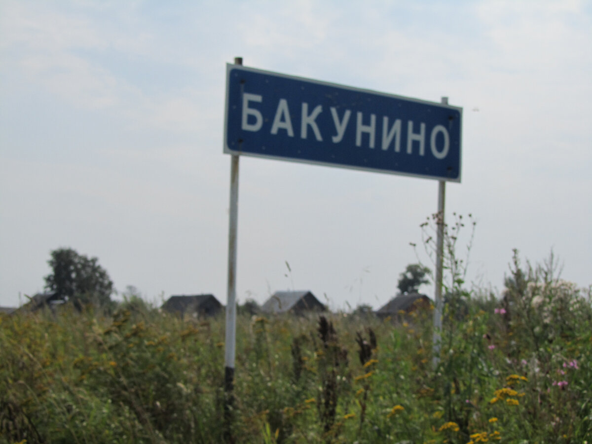 деревня Бакунино Городецкий район Нижегородская область