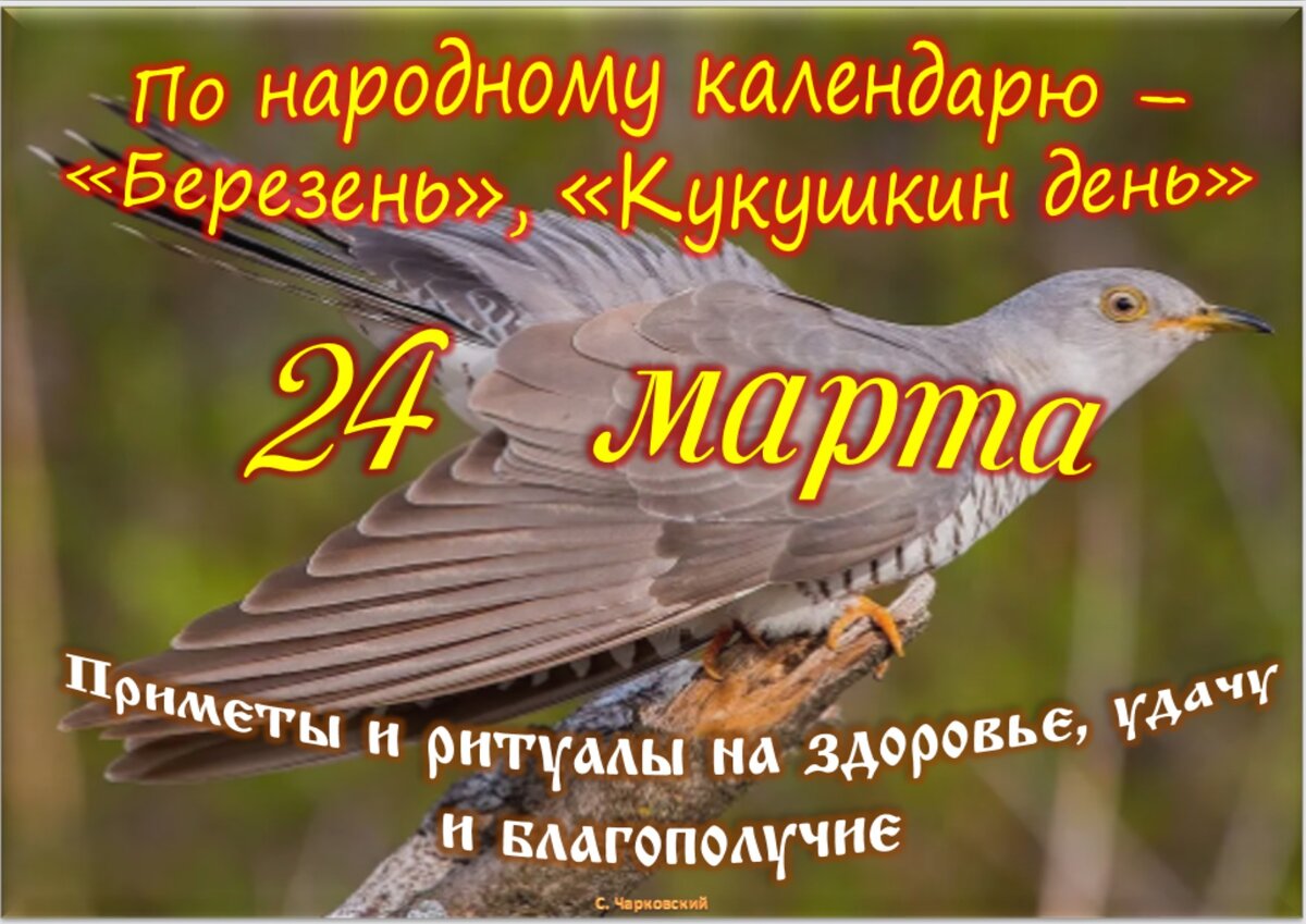 Встречаем новый день