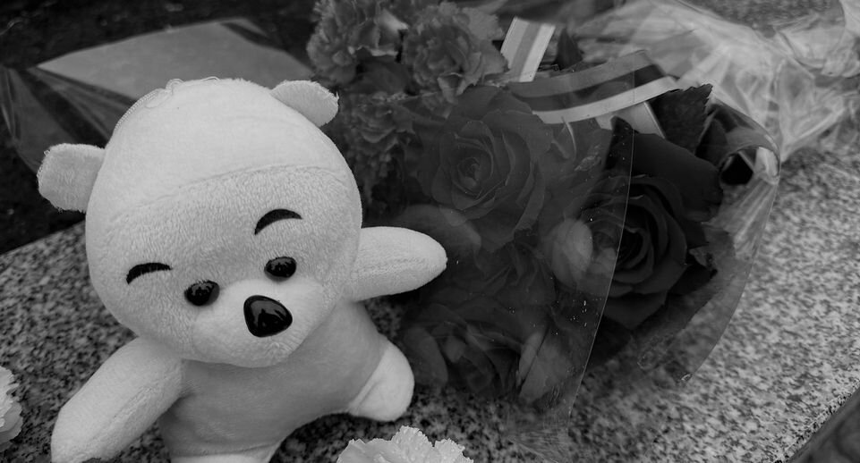    Источник фото: Мария Шматкова