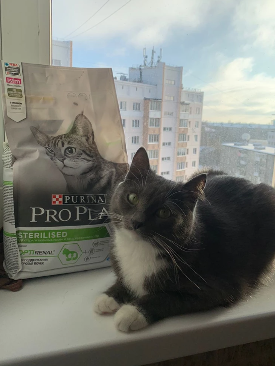 Корм Purina Proplan для стерилизованных кошек и котов