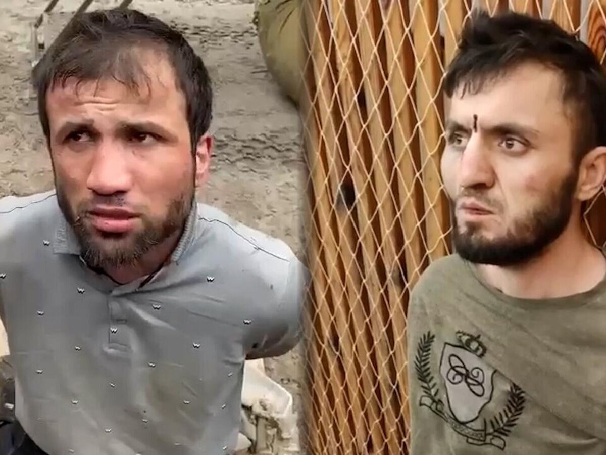 Трудовые мигранты-террористы