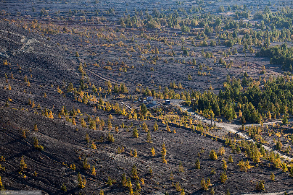 конечно, это не наша "промзона", но по тем временам - очень похоже... Яндекс-фото