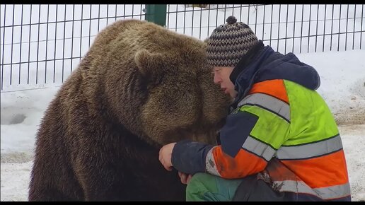 Встреча медведя Мансура со своим папой Андреем 🐻😊😱