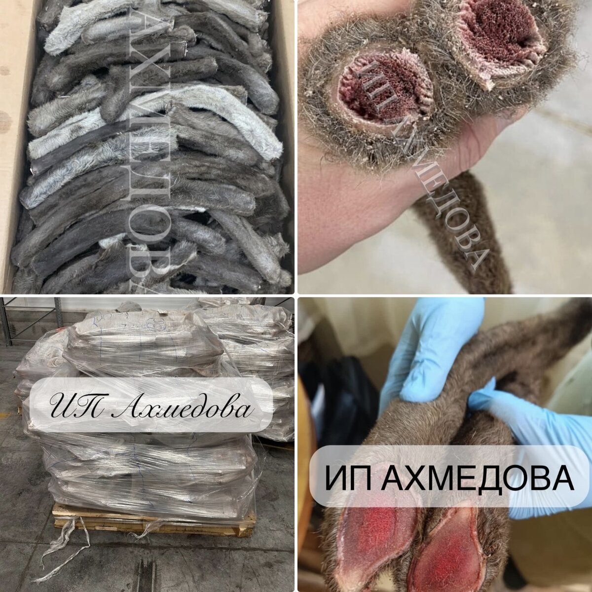 Панты - это растущие рога оленя еще неокостеневшие, срезанные в период роста и развития животного (время среза май, июнь). По богатству и насыщению природными микроэлементами панты делятся на 4 сорта. Содержание полезных веществ в верхней части панта в разы выше чем в нижней. Панты содержат:

	•	гармоны (тестостерон(testosteron), эстрадиол)
	•	16 из 18 аминокислот необходимые человеку
	•	витамины (A, B1, B2, B5, B6, PP)
	•	микро и макроэлементы
	•	минеральные вещества (кальций, натрий, бор, йод, селен, железо, хром, кремний, цинк, магний, калий, марганец)
	•	биоактивные вещества (белковые соединения)
	•	протеин с коллагеном
	•	25 видов аминокислот

Более 92 биологически активных соединений содержат панты северного оленя (данные на основе научных работ и исследований).

Такого огромного количества сбалансированных природных компонентов нет ни в одном другом животном и растительном происхождении сырье.