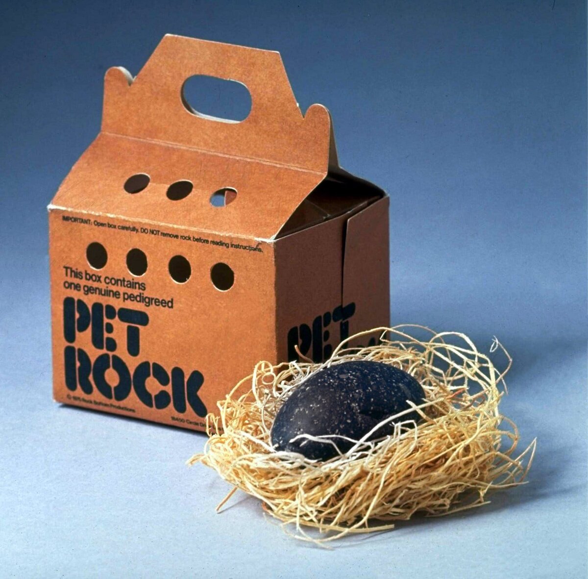 В 1975 году американский предприниматель Гэри Росс Дал стал продавать через магазины сувениров камни в картонных коробочках. Внутри коробочки помимо самого необработанного камня находилась солома.-2