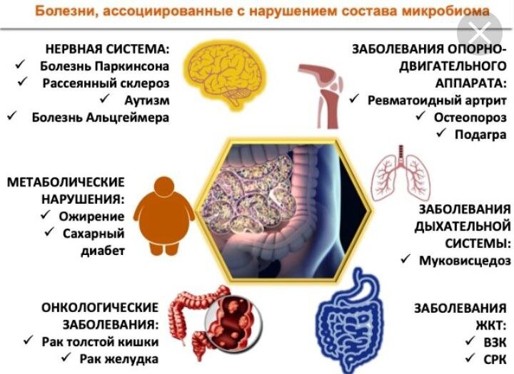 К основным микроорганизмам, населяющим кишечник, относятся: бифидобактерии; лактобактерии; стафилококки; бактероиды; кишечная палочка. Но постоянное взаимодействие организма человека с микрофлорой кишечника – это очень чувствительная система, на которую оказывает влияние огромное количество факторов, могущих легко вывести ее из строя.