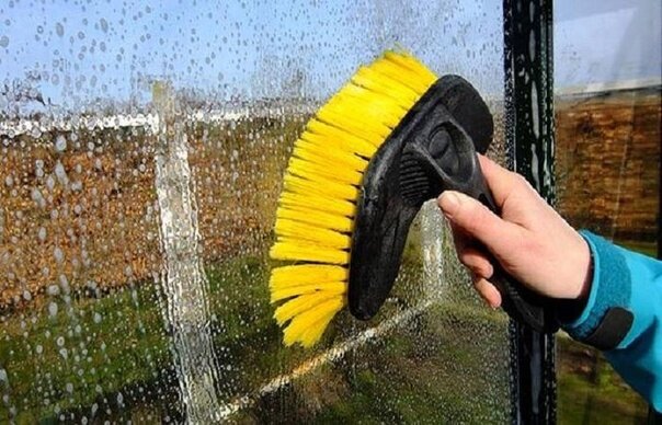 Фото из интернета