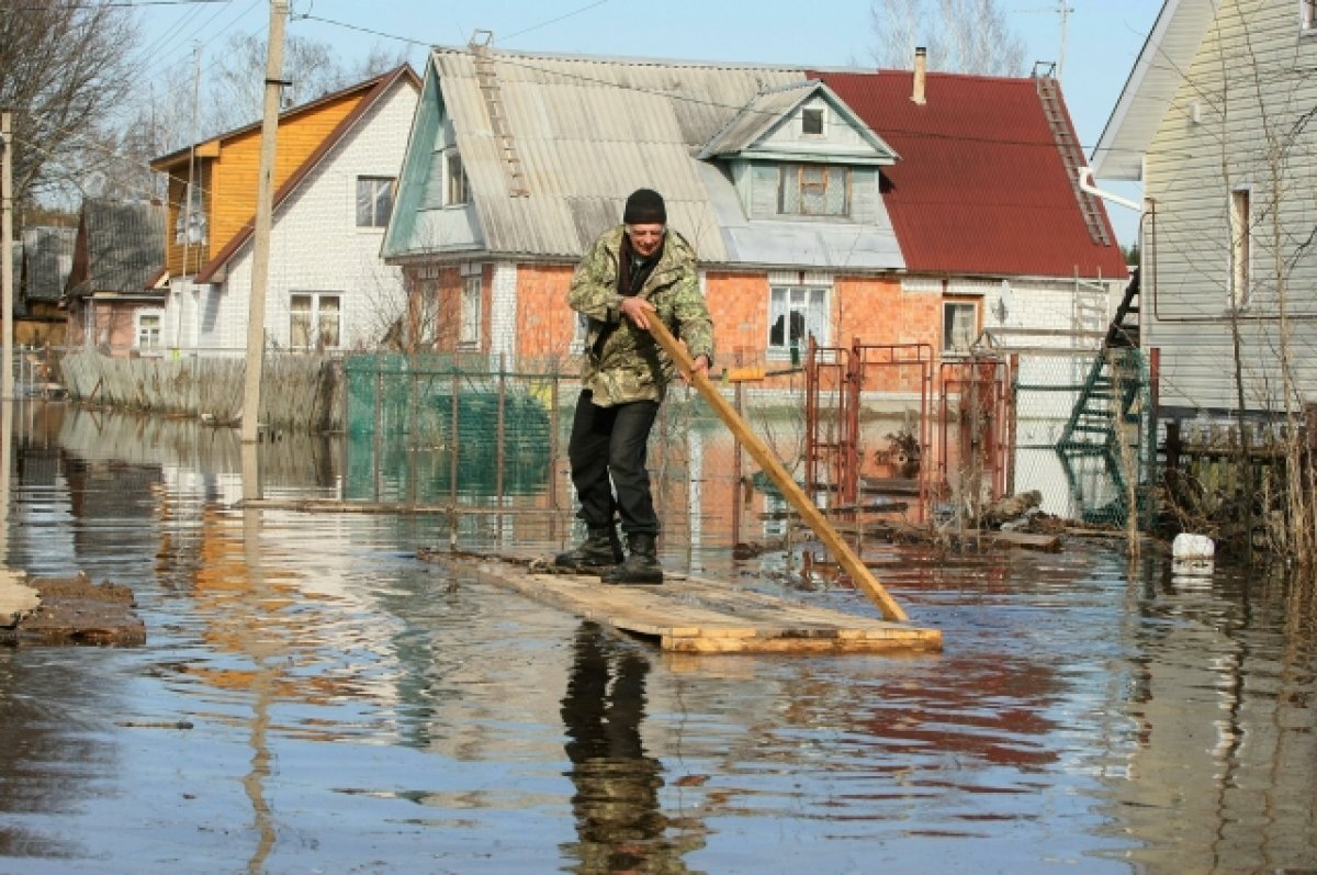 На 24-26 марта в Тверской области прогнозируется выход рек из берегов | АиФ– Тверь | Дзен