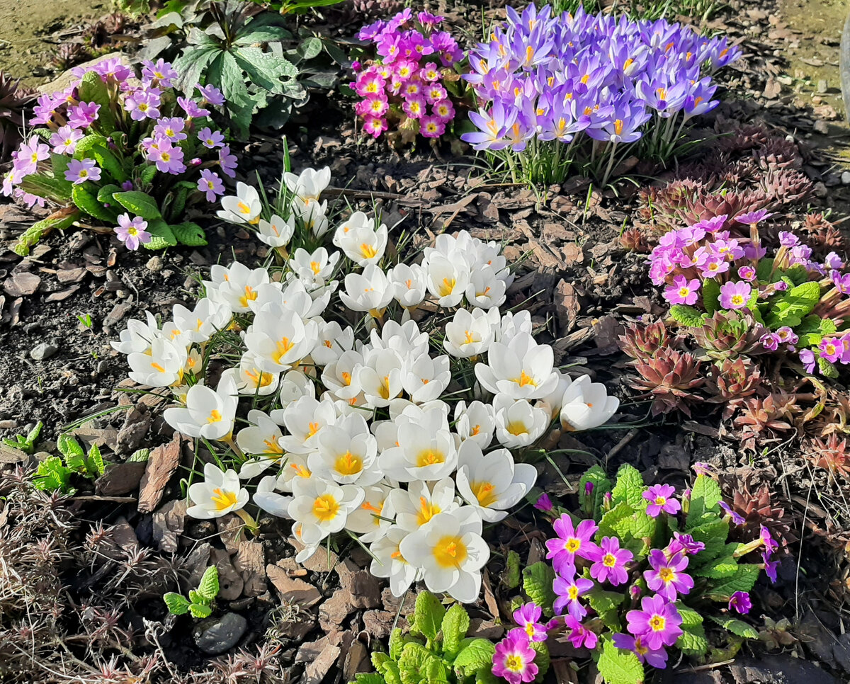 Мне эта легенда нравится