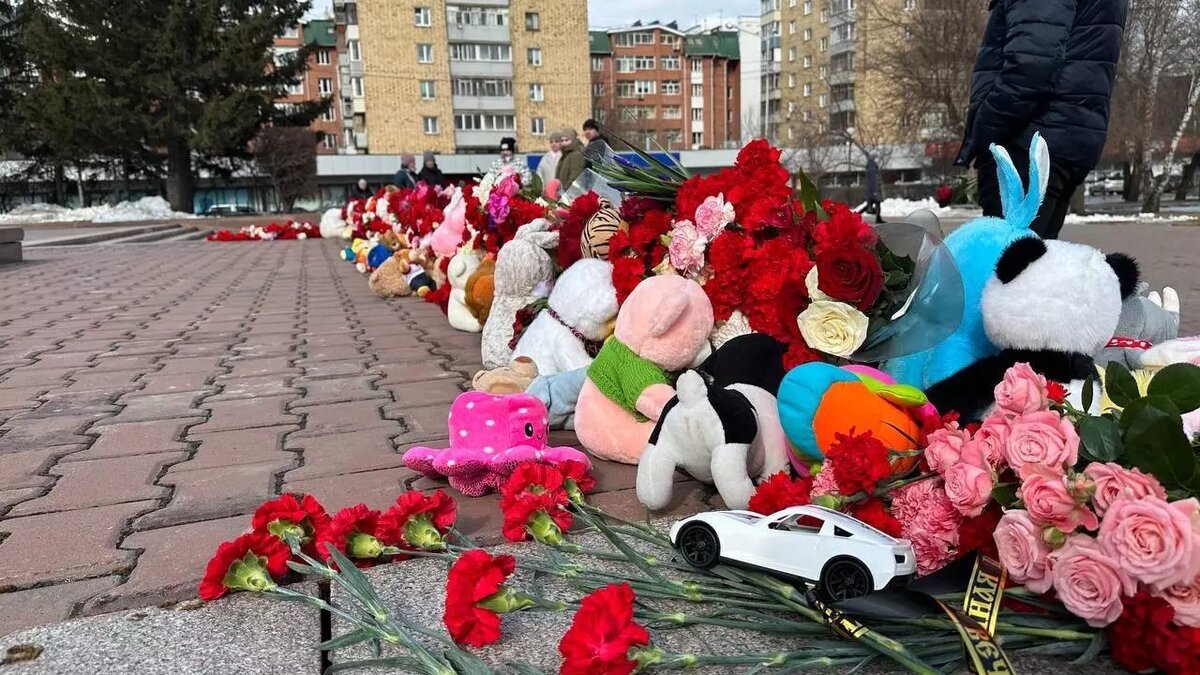     В Красноярске власти организовали мемориал на Красной площади после теракта в Crocus City Hall. Жители продолжают нести туда цветы, а кто-то решил начать собирать там подписи за смертную казнь.