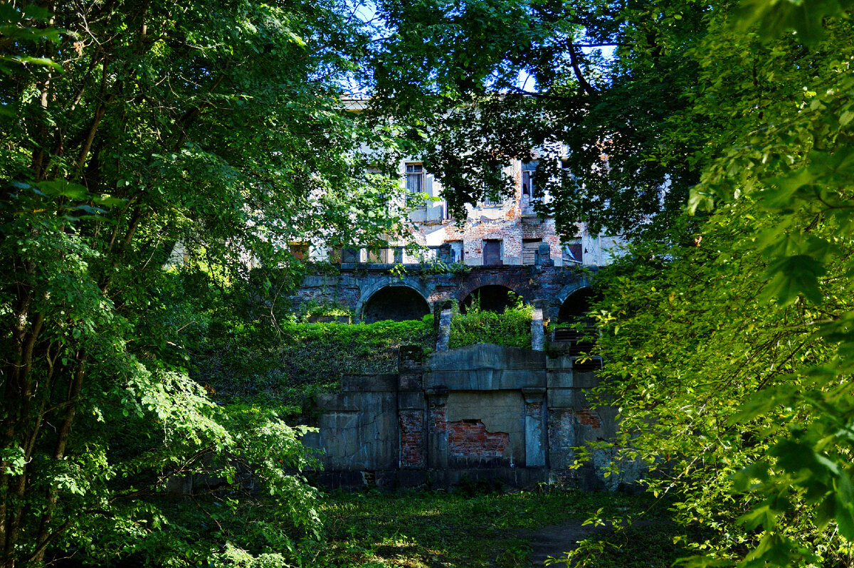 Все фотографии в статье мои и сделаны в августе 2020 г. 