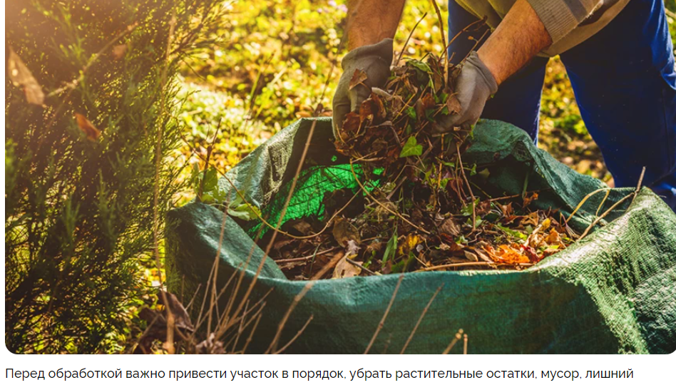 Обработка участка от клещей, мошек и ос: как избавиться от вредных насекомых самостоятельно