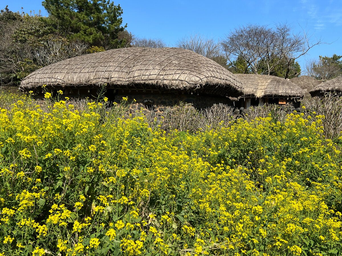 Традиционная корейская деревня на острове Чеджу. Фото автора 