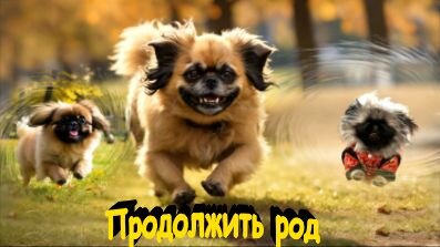 Продолжить РОД летит народ... В смысле, пекинес.