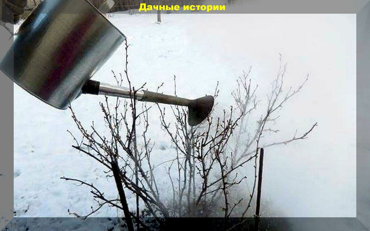 https://vk.com/photo-159774511_457264852
