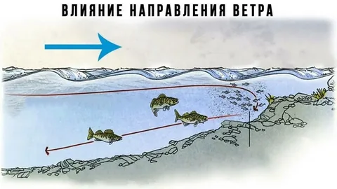 Фото с сайта: https://gruzarf.ru/wp-content/uploads/3/a/2/3a29dfcc2cd57eb9fe56ce8afc1cd187.jpeg