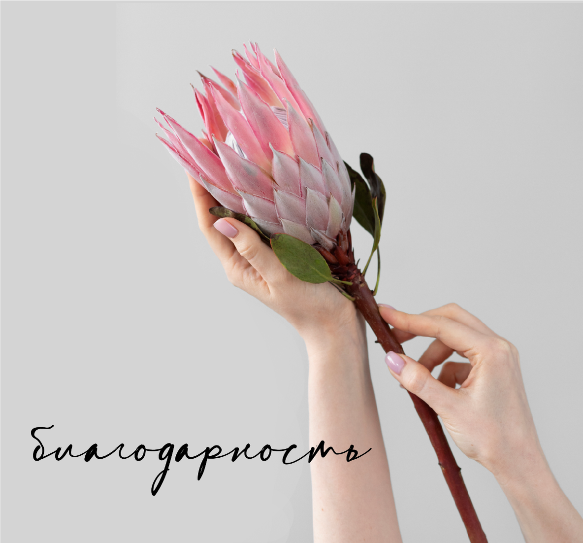 PROпредназначение