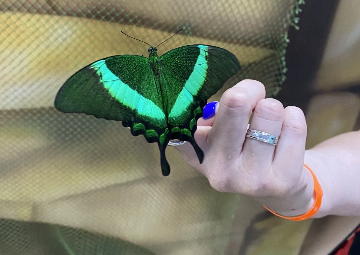 Фото автора. Красота от которой невозможно отвести взгляд.