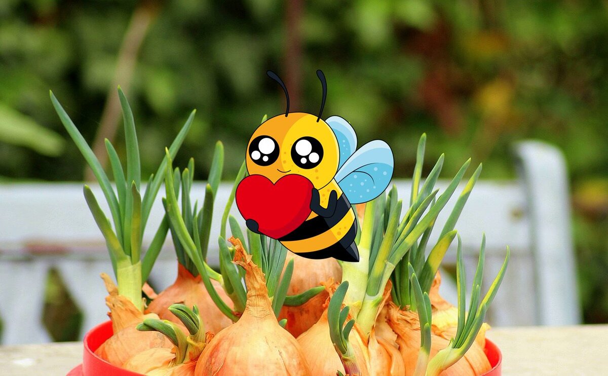 Про рецепт лука с мёдом