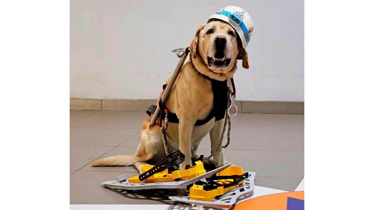    Личный архив Виктории Мидяной