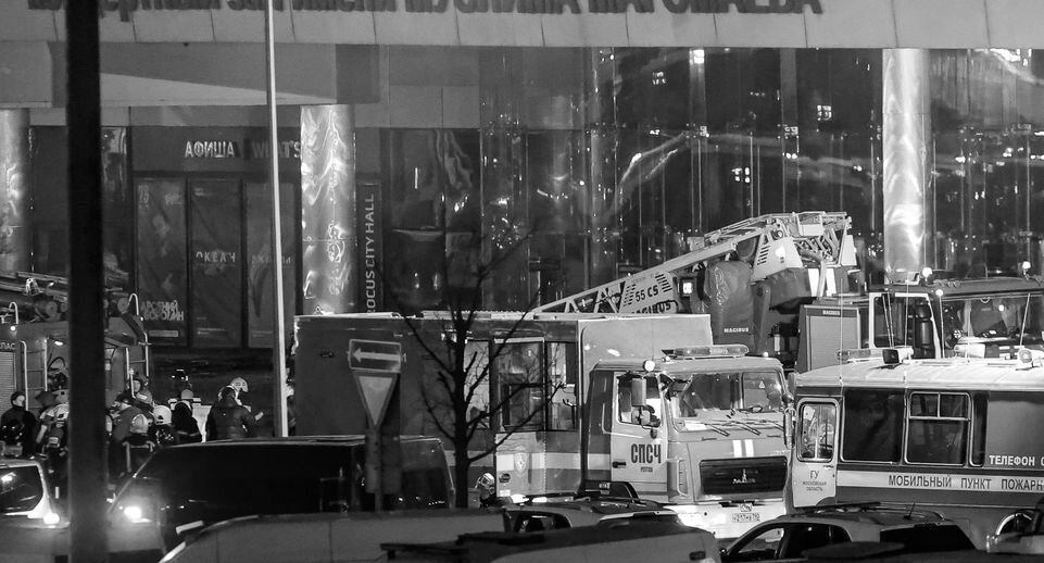    Dmitry Golubovich/Global Look Press