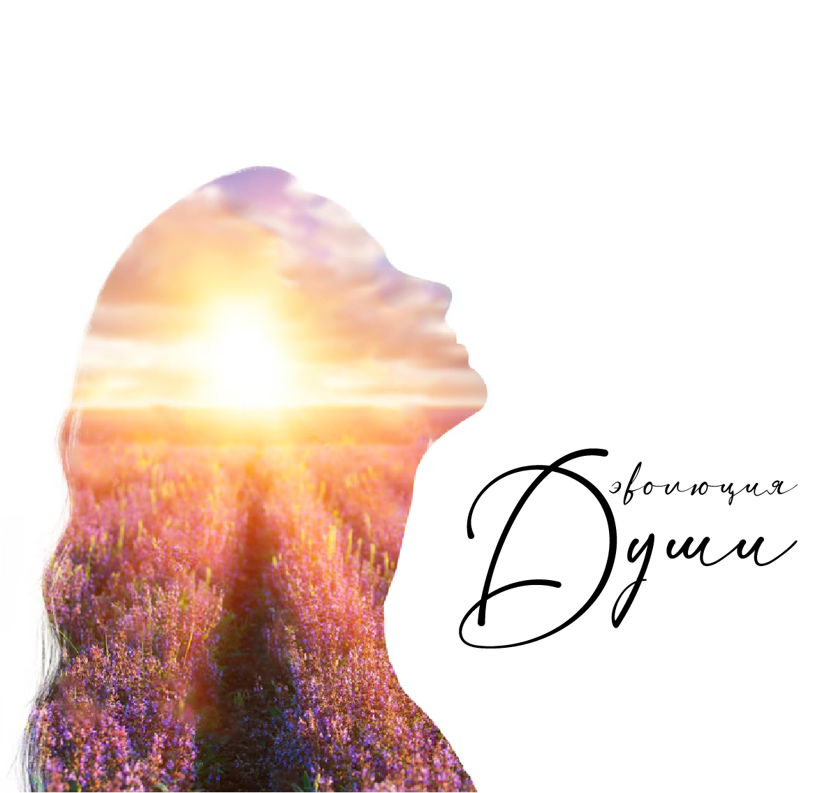 PROпредназначение