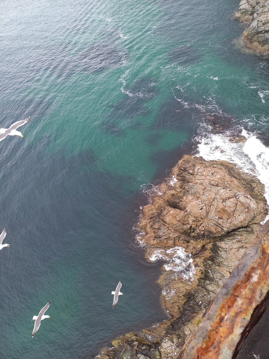 Вид с Маяка Анива