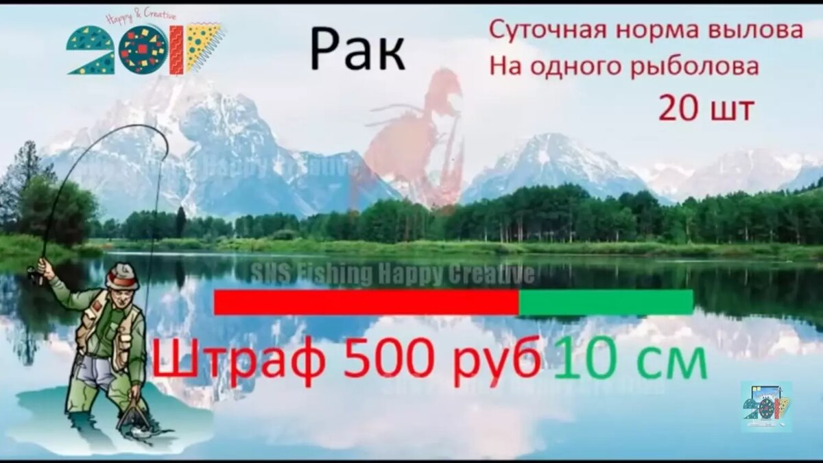 Поймал — отпусти! Какие новые штрафы ждут рыбаков-любителей в 2024 году |  НОВЫЕ ИЗВЕСТИЯ | Дзен