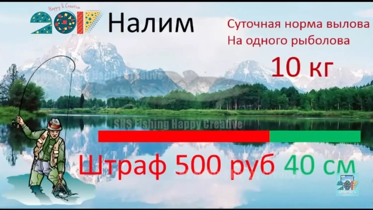 Поймал — отпусти! Какие новые штрафы ждут рыбаков-любителей в 2024 году |  НОВЫЕ ИЗВЕСТИЯ | Дзен