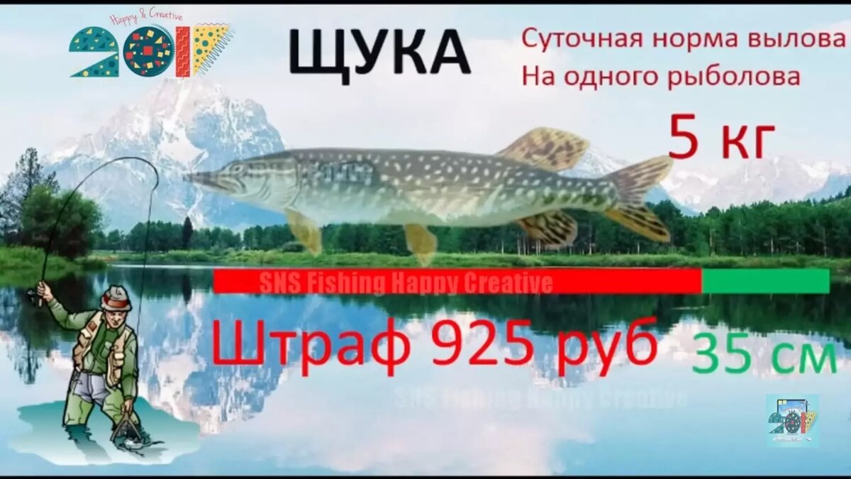 Поймал — отпусти! Какие новые штрафы ждут рыбаков-любителей в 2024 году |  НОВЫЕ ИЗВЕСТИЯ | Дзен