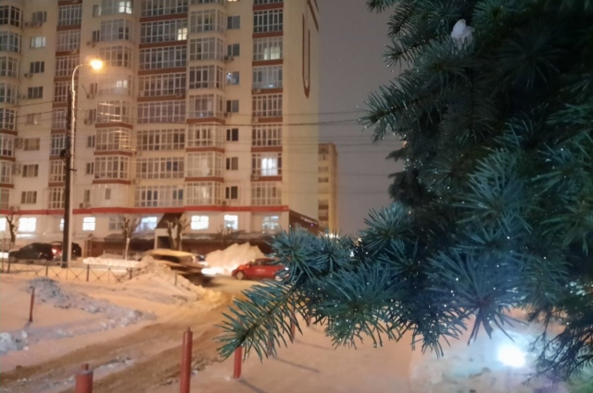    В Новосибирске в конце марта прогнозируют первые дожди со снегом