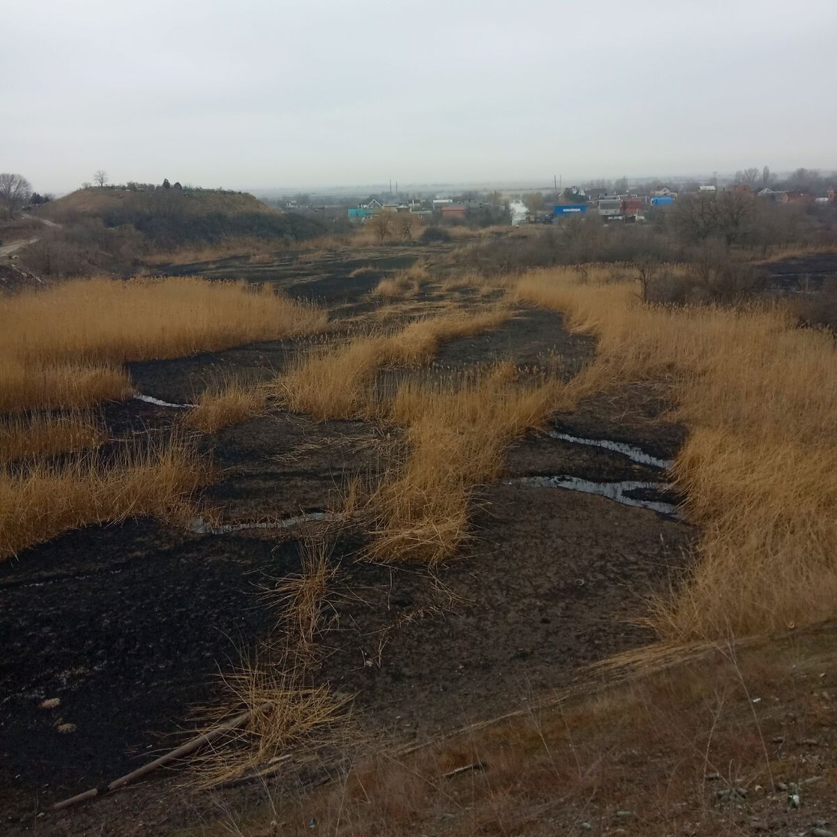 Последствия ландшафтного пожара между хутором Калинин и поселком Каратаево. 