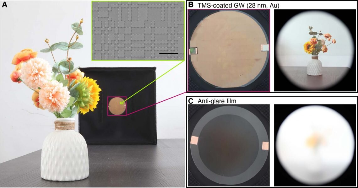 Новый материал в сравнении с традиционными антибликовыми покрытиями. Изображение: Science Advances, Му Ванг и др.
