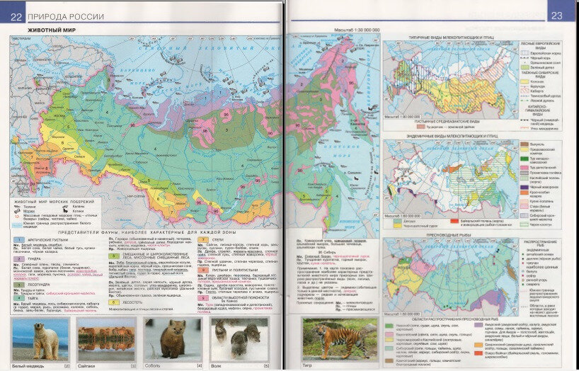 ш 45 в. гдз по географии шестого класса по рабочей тетради стр 41. гринвичский и 180 меридианы. а а лобжанидзе география планета земля 5 класс. учебник по географии 5 класс 5 параграф.