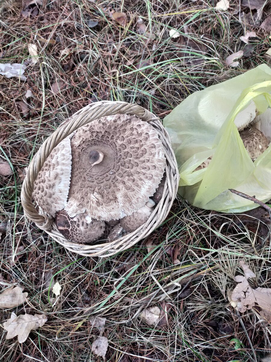 Автор фото Ирина Черпакова